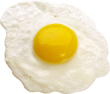 Fried Egg